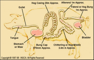 Hog casings