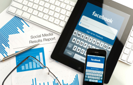 Rich Internet Application (RIA)