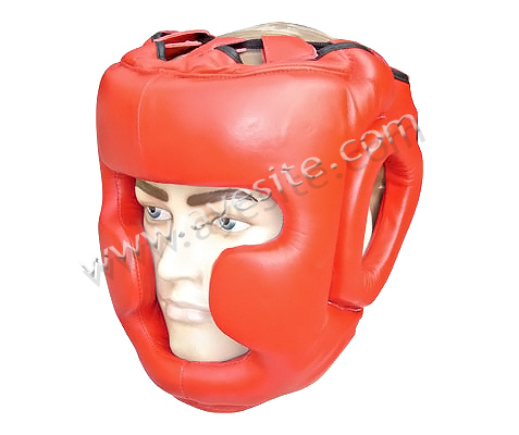 Head Guard-AYE-1354