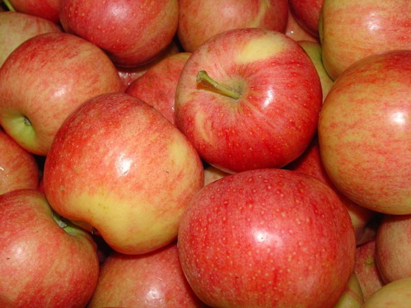 Æbler