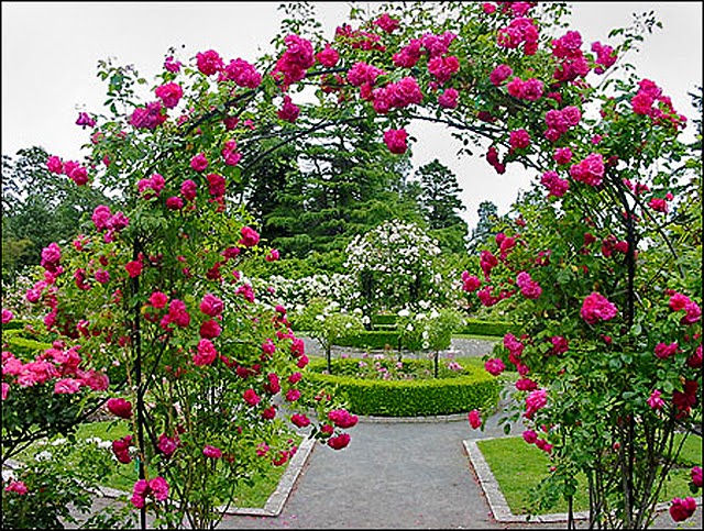 Lavori di architettura paesaggistica per giardini