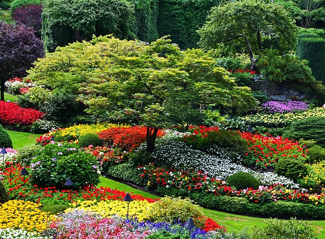 Lavori di architettura paesaggistica per giardini