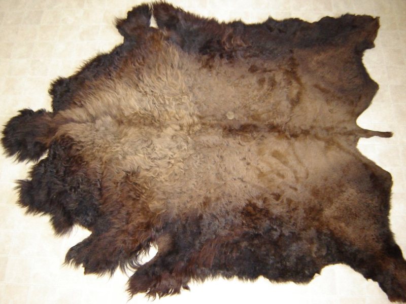 Buffalo skin