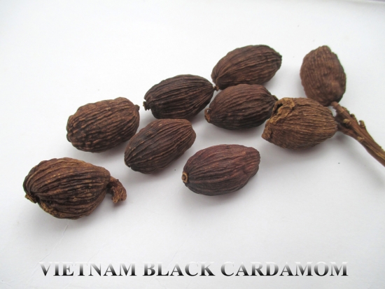 Black Cardamom