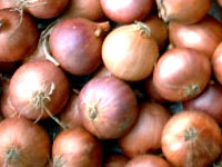 Onion