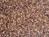 Sesame Seeds (F.A.Q)