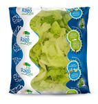 Iceberg Salad