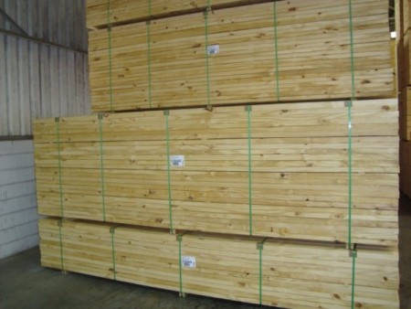 Uruguayan timber