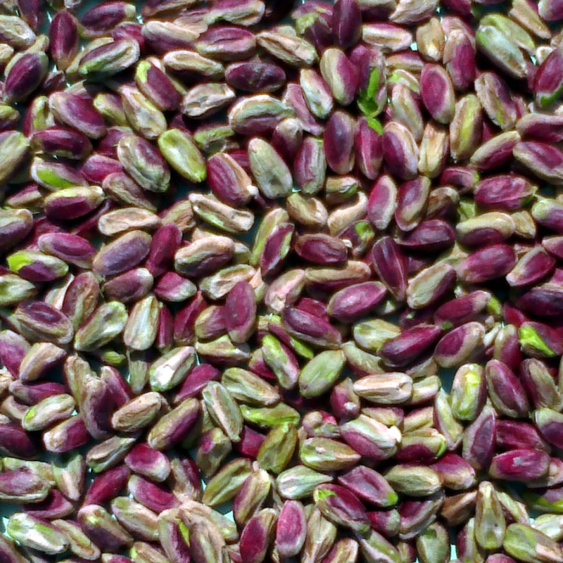 Pistachios kernels