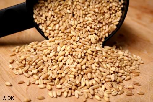 গম MILLING