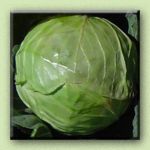 Cabbage and Savoy Cabbage