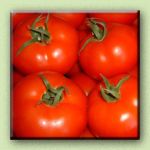 Tomates Frescos