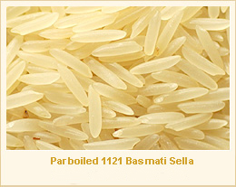 1121 BASAMTI RICE