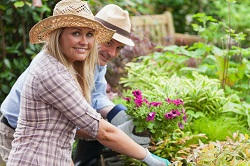 For a garden makeover, leave it to our great Gardeners