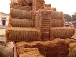 Brown Coir Fiber