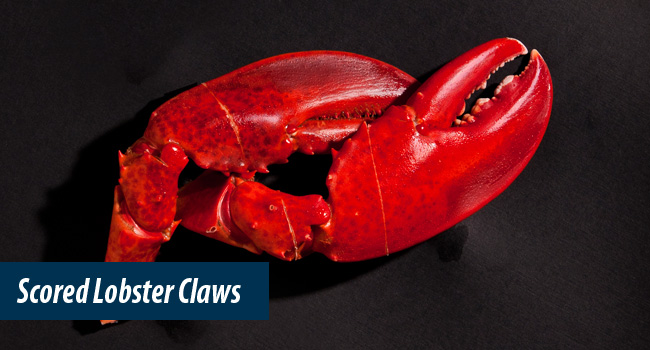 Scored Lobster Claws