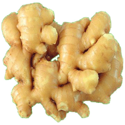 Fresh ginger