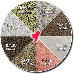 Dry Blended Fertilizer (Variable analysis)