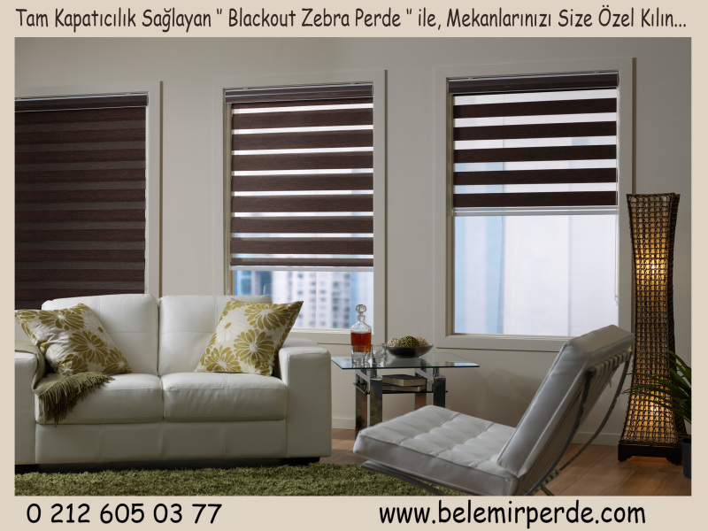 Home decoration with Blackout zebra roller blind