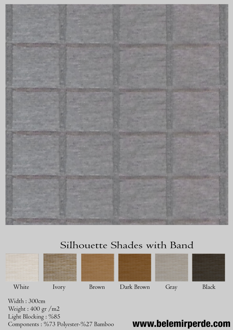 Silhouette Shades with Band