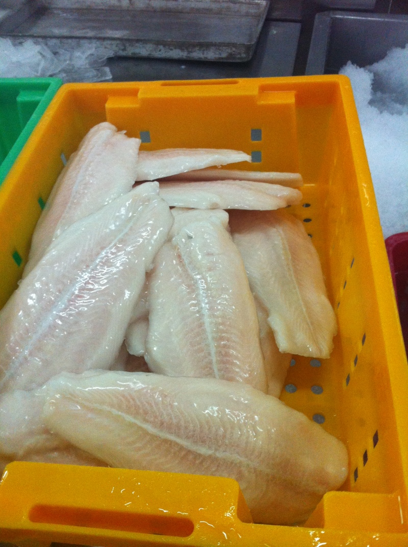 Pangasius filetes