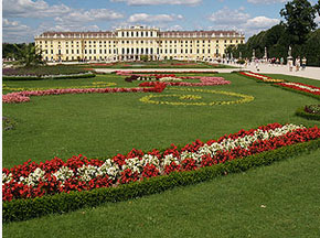 Transport of passengers to Vienna