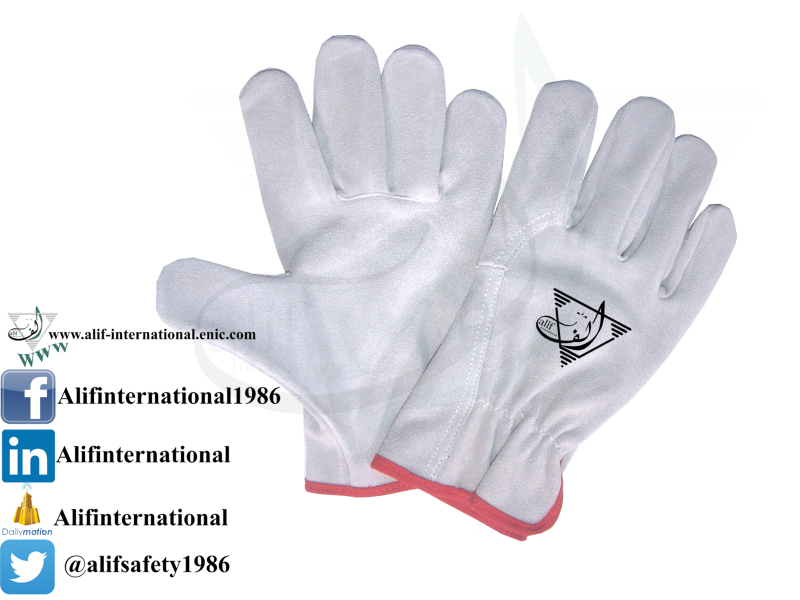 Driver Gloves 1