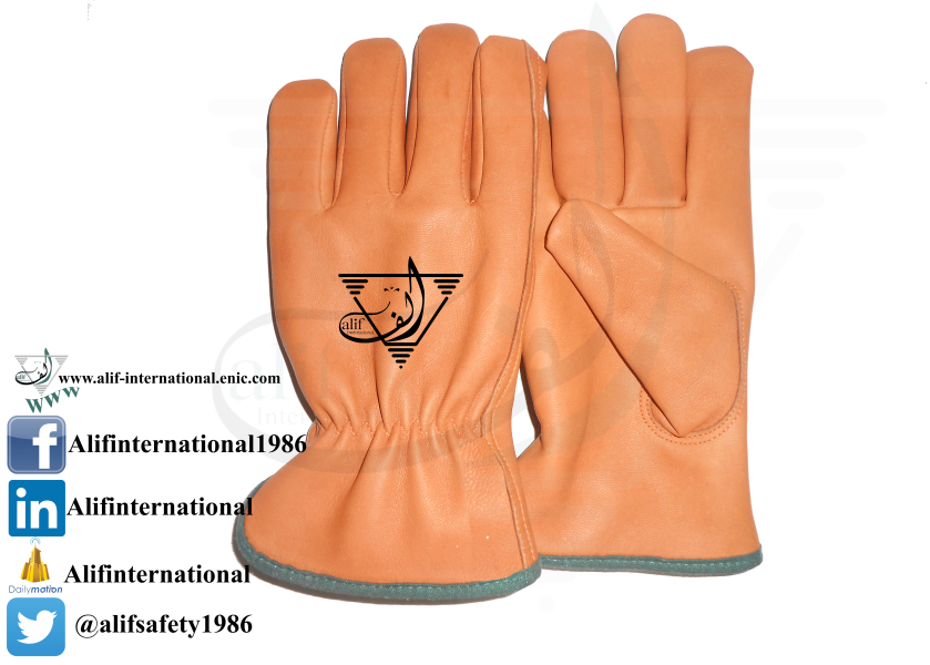 Driver Gloves 2