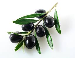 Siyah zeytin