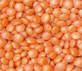 Lentils