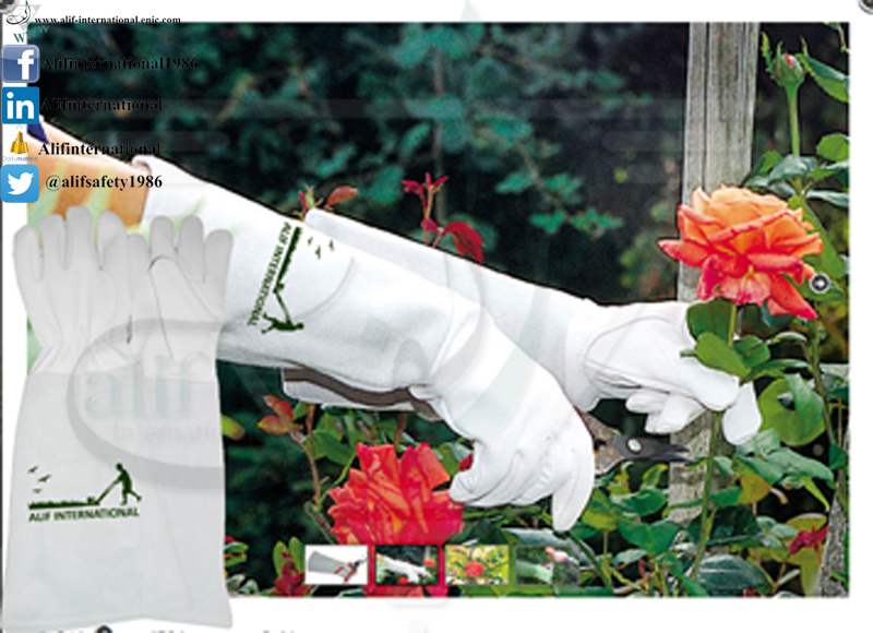 Garden Gloves