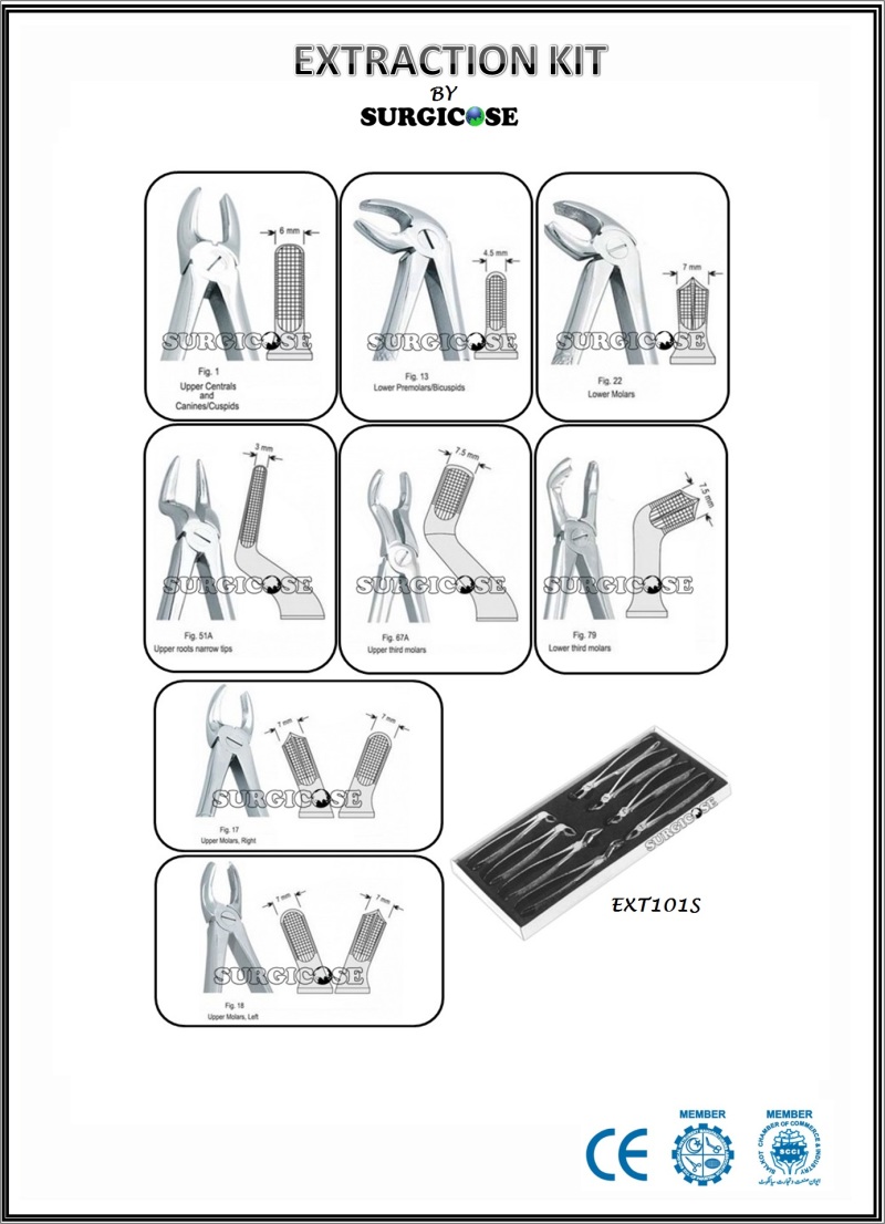 Extracting Forceps Kit-1 (English Pattern)