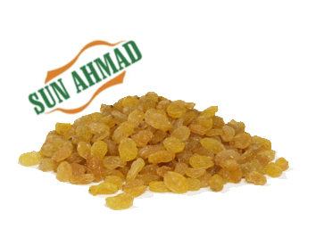 Rusinajalosteet
