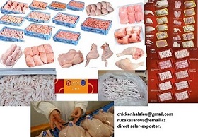 offer frozen chicken halal eu