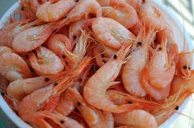 The tiniest shrimps are the tastiest