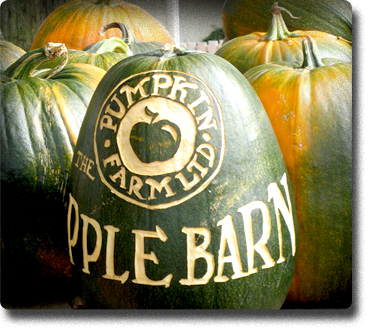 applebarn-pumpkin