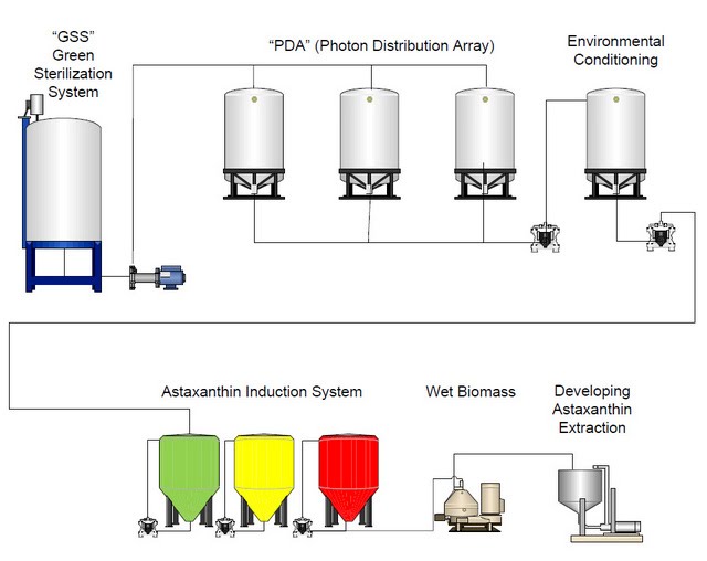 Biotechnical, hulumtim, komerciale