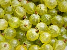 Gooseberries