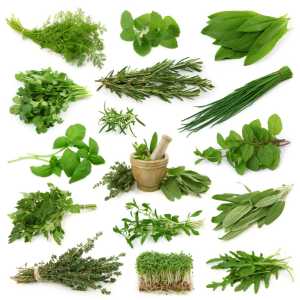 All Kind Herbal medicines and Unani Herb