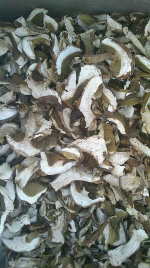 DRY BOLETUS BULK