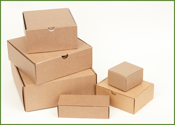 Bánh Boxes