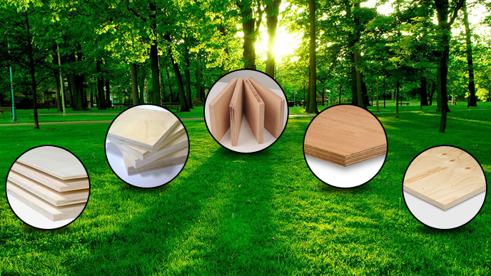 Plywood and veneers manufacturers