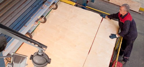 Plywood pressing