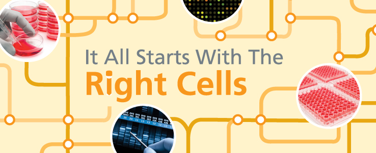 Human Primary Cells For More Physiologically Relevant Research