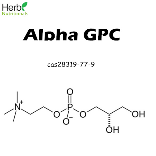 ვიტამინები, ამინომჟავები და coenzymes