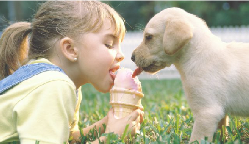 Additius en l'alimentació animal