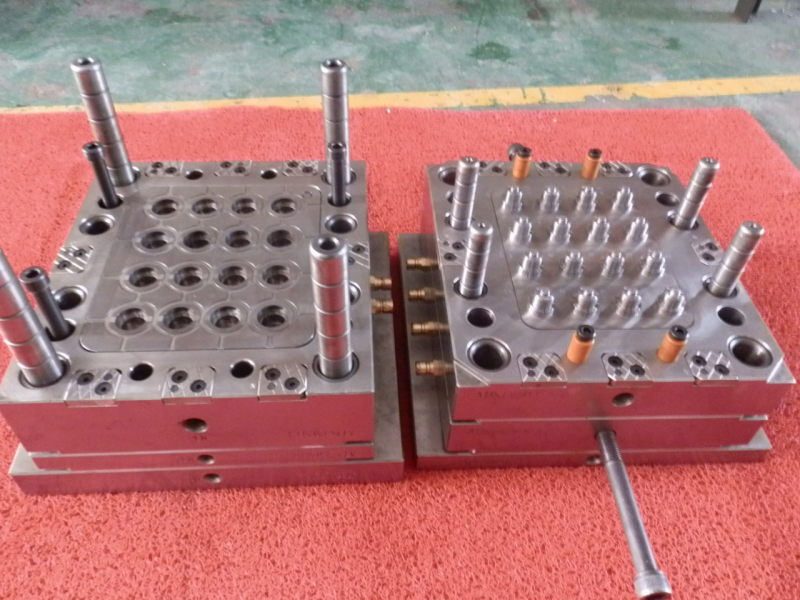 Multi-Cavity Mold