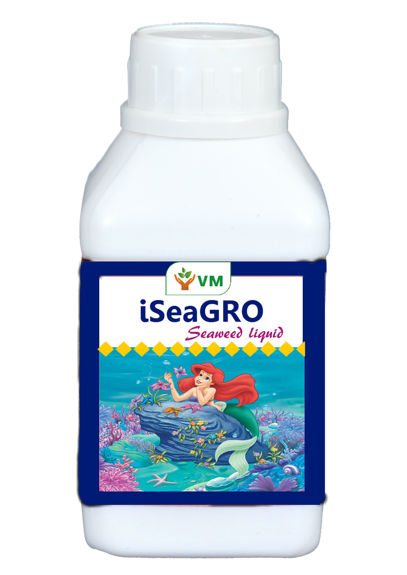 iSeaGRO