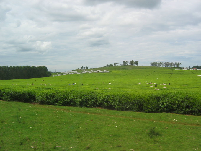 7-Day Western Coast Of Kenya, Lake Victoria Holidays.