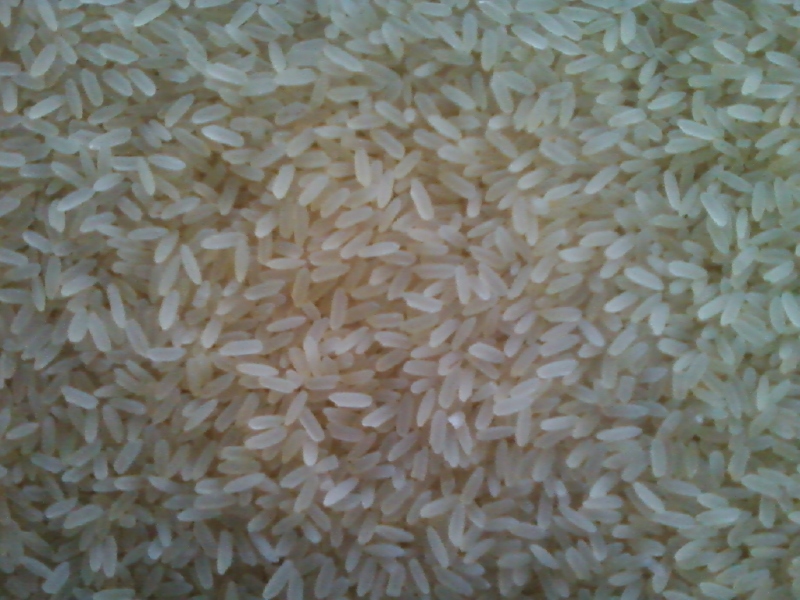 Non Basmati Indian Rice